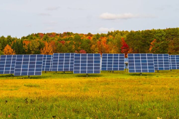 A small field surrounded by autumn-colored trees with a sparse solar farm consisting of nine, 24-paneled solar panels.